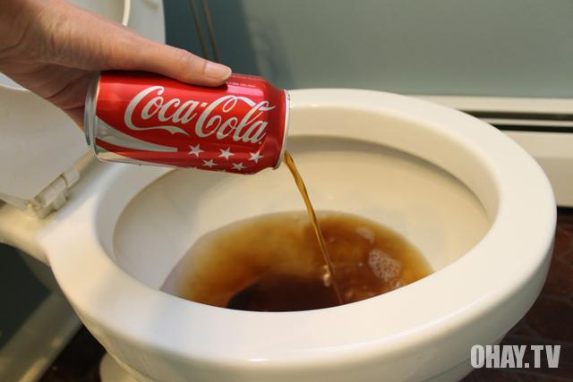 Coca-cola hoàn toàn không tốt cho cơ thể của bạn - Phần 1