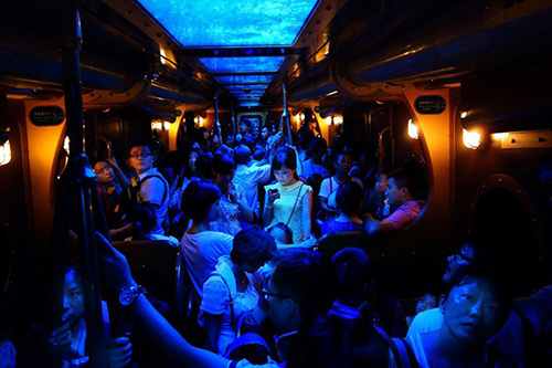 Top 10 bức ảnh đẹp nhất năm 2014 do National Geographic bình chọn