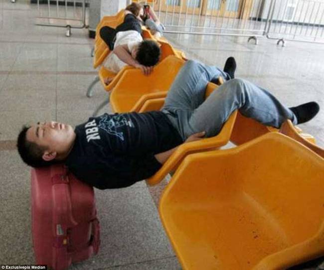 Những giấc ngủ trưa siêu ngắn nhưng siêu bá đạo trên thế giới.
