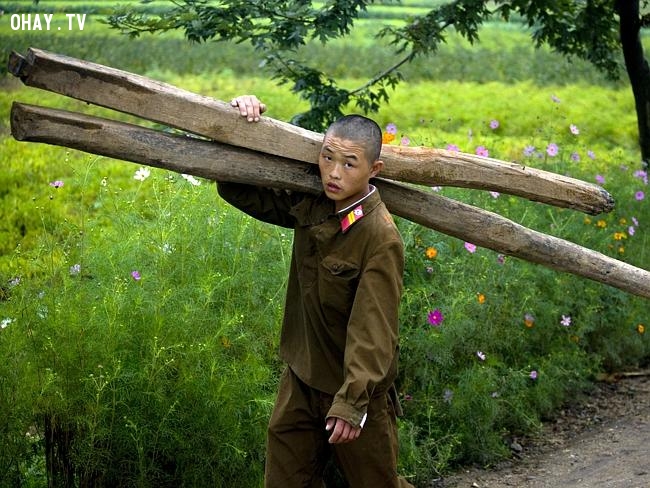 Những bức hình mà Bắc Triều Tiên không muốn phơi bày ra thế giới