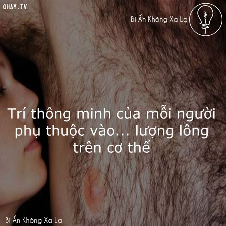 nhiều lông thông minh