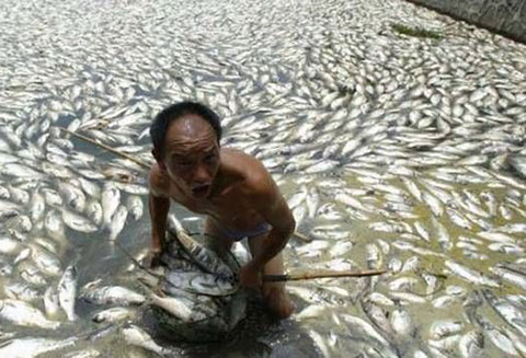 Kinh hoàng mức độ ô nhiễm Trung Quốc