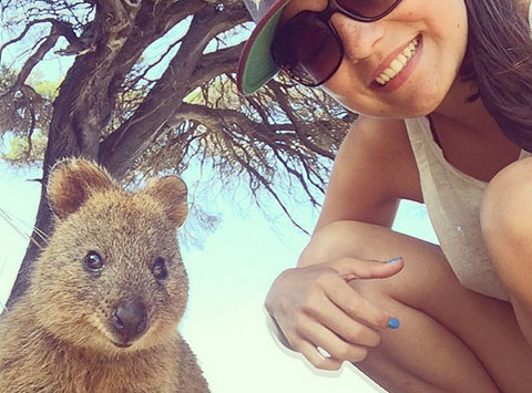 Xu hướng chụp ảnh selfie cùng Quokka - Loài vật hạnh phúc nhất hành tinh