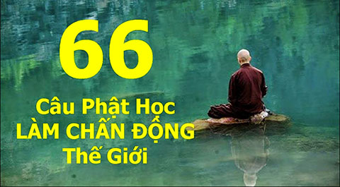 66 câu Phật học làm thay đổi cuộc sống