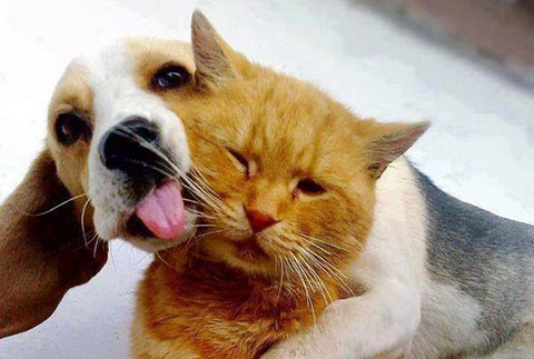 Độ selfie của bạn đã bằng chúng chưa?