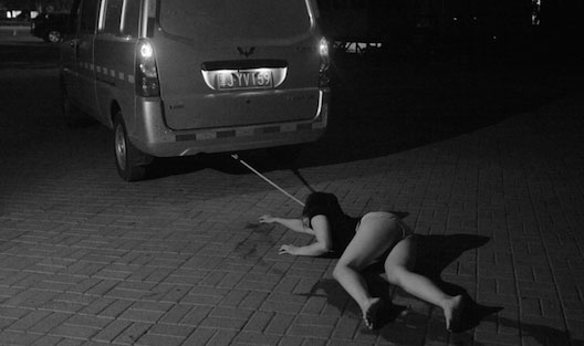 Chuyện gì xảy ra khi con người làm con chó?