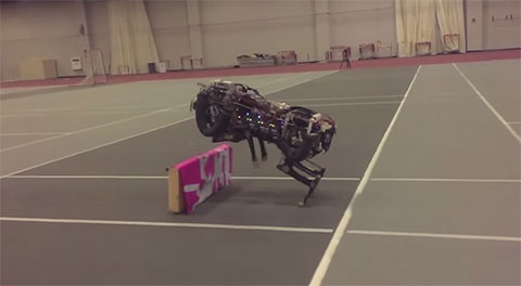 Báo robot vượt chướng ngại vật