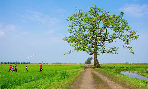 Những Điều Khác Biệt Ở Thành Phố Với Thôn Quê