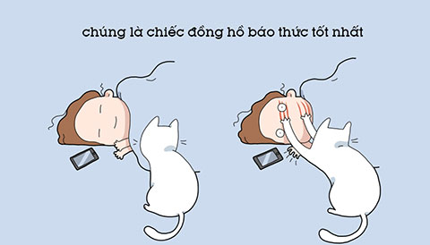 Bộ hình vui nhộn về 10 lợi ích của việc nuôi mèo