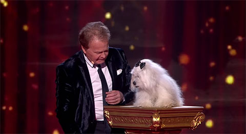 Chú chó biết nói trở lại trong vòng bán kết 4 Britain\'s Got Talent