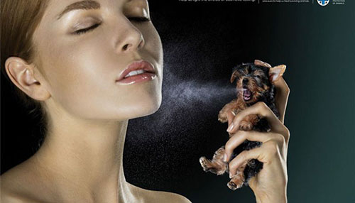 Những poster mang thông điệp mạnh mẽ kêu gọi bảo vệ động vật hoang dã