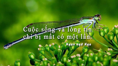 5 bài học xương máu cần ghi nhớ nếu muốn tồn tại trong xã hội này