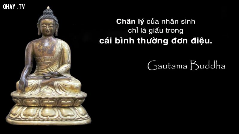 ảnh lời Phật dạy,bài học cuộc sống,suy ngẫm,Đức Phật,chân lý cuộc đời