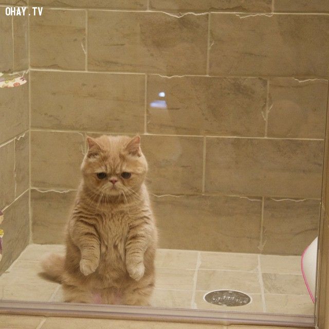 Khuôn mặt tiu nghỉu khi đứng trong phòng tắm.