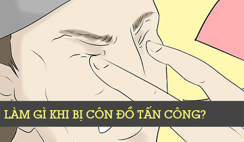 Làm gì khi bị côn đồ tấn công?
