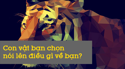 Những con vật yêu thích tiết lộ điều gì về bạn?