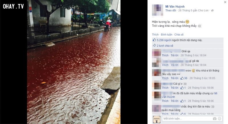 Mưa máu ở Sài Gòn