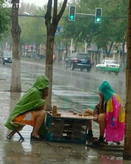 100+ hình ảnh hài hước về trời mưa - hinhanhsieudep.net