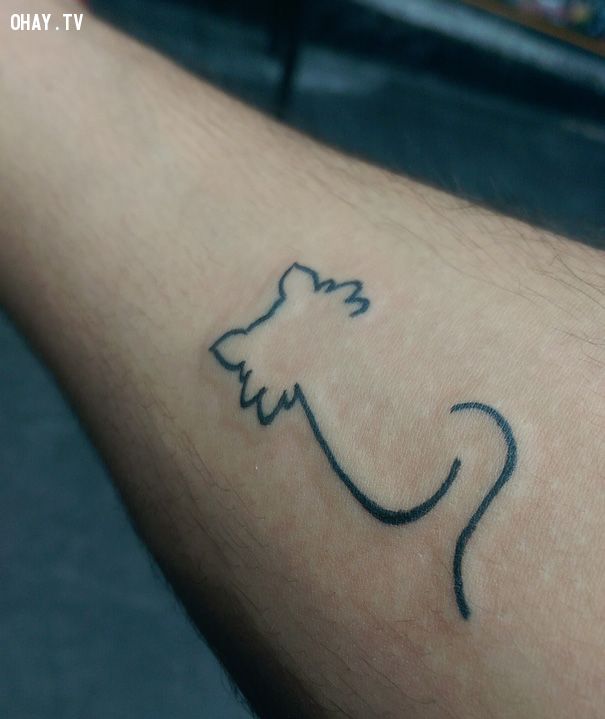 Hình xăm con mèo Ý nghĩa tattoo con mèo đẹp  ALONGWALKER