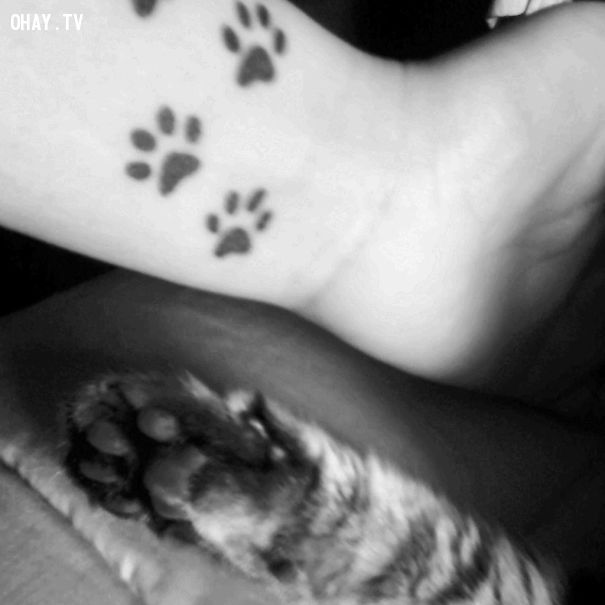 33 hình xăm dấu chân mèo dễ thương dành cho các bạn nữ