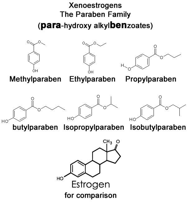Cấu tạo hoá học của Paraben