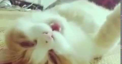 Để mẹ thiến thằng bác sĩ.... nó làm đau em à!!