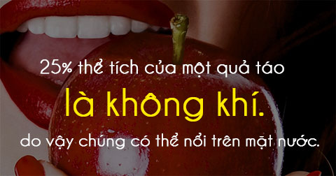 Những sự thật có thể bạn chưa biết về đồ ăn - P1
