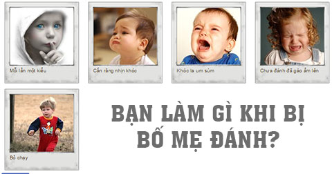 Bạn cứng đầu đến mức độ nào?