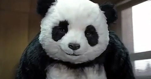 Top những quảng cáo pho mát Panda hài hước nhất