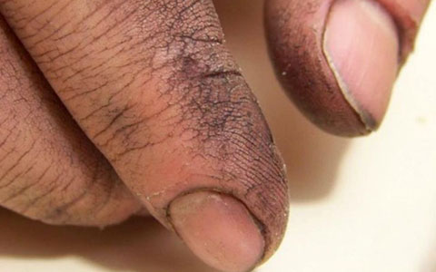 Bài học cuộc sống qua câu chuyện \"Đôi Bàn Tay Của Cha\"