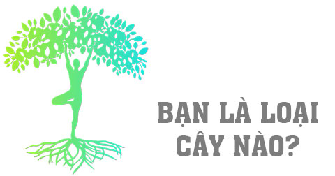 Trắc Nghiệm Vui: Bạn là loại cây nào?