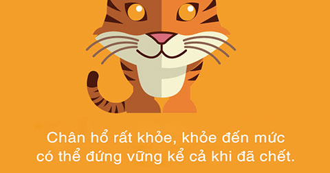 15 sự thật đáng kinh ngạc của các loài vật có thể bạn chưa biết