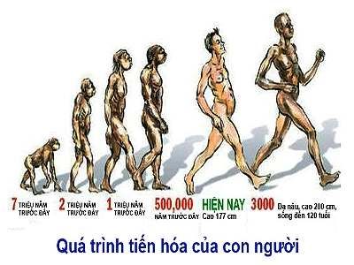Kinh ngạc trước hình ảnh con người 1000 năm nữa - Đặng Tiến Hưng