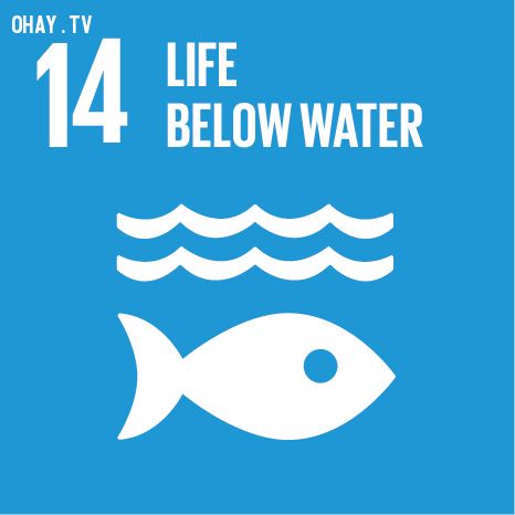 17 mục tiêu phát triển bền vững của Liên Hiệp Quốc mọi người cần biết
