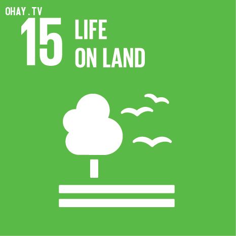 17 mục tiêu phát triển bền vững của Liên Hiệp Quốc mọi người cần biết