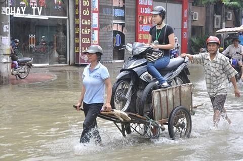 Mô tả hình ảnh