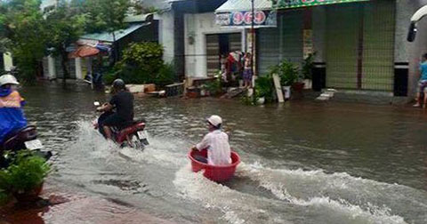 Những hình ảnh hài hước chỉ có trong mùa mưa bão
