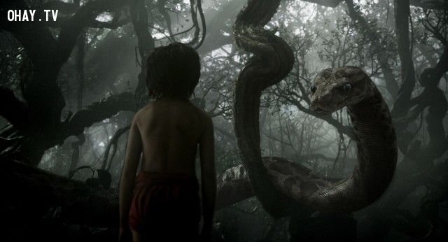The Jungle Book (2016): Rừng già Ấn Độ và cậu bé Mowli