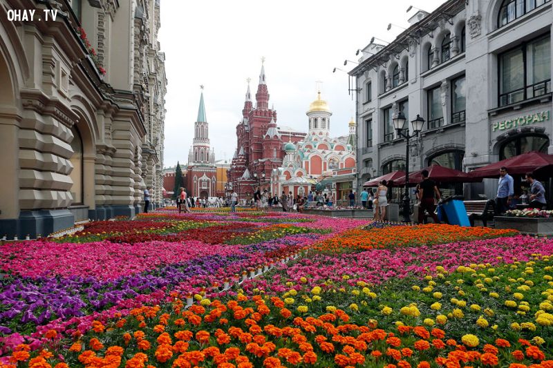 Lễ hội hoa ở Moscow