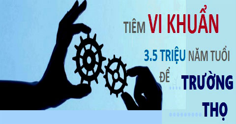 Tiêm vi khuẩn 3,5 triệu năm tuổi để trường thọ