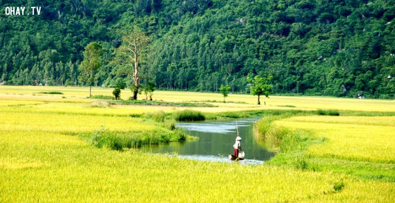 Dòng sông và cánh đồng dưới chân đèo Cả (huyện Đông Hòa) - Ảnh: Dương Thanh Xuân