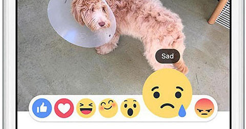 Facebook thử nghiệm 6 biểu tượng cảm xúc để thay thế nút “Dislike”