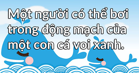 12 điều cực kỳ khó tin nhưng hóa ra lại là sự thật