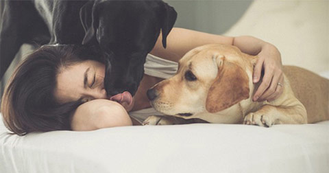Đàn ông không có nhưng Chó nhất định phải nuôi!
