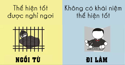 11 điều chứng minh NGỒI TÙ tốt hơn ĐI LÀM