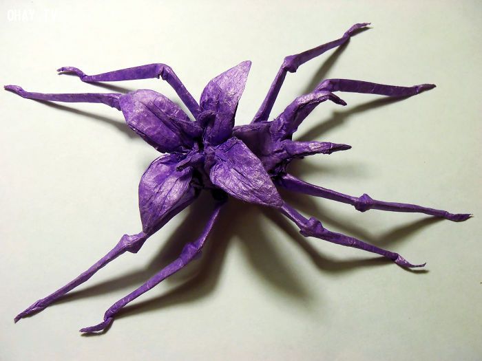 nhện hoa Origami
