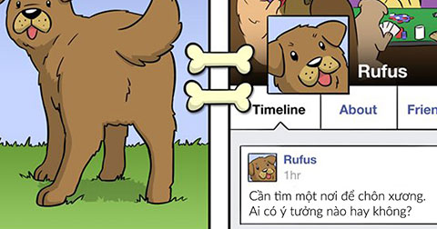 Thế giới qua cách nhìn của chú chó
