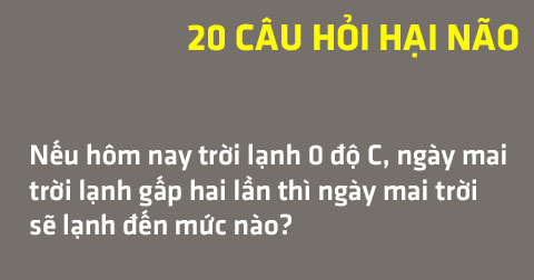 20 câu hỏi hại não thách thức IQ của bạn