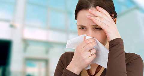 Mẹo chữa viêm xoang cực dễ bạn cần biết