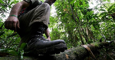Làm gì khi bị lạc ở nơi hoang dã?